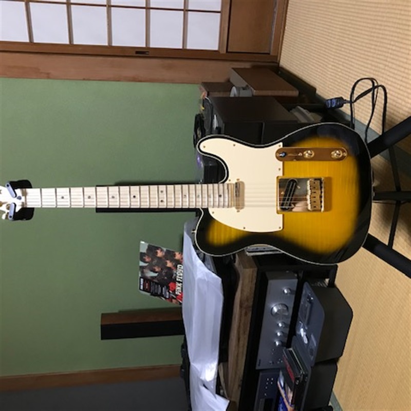 Fender Made in Japan RITCHIE KOTZEN TL BSの画像